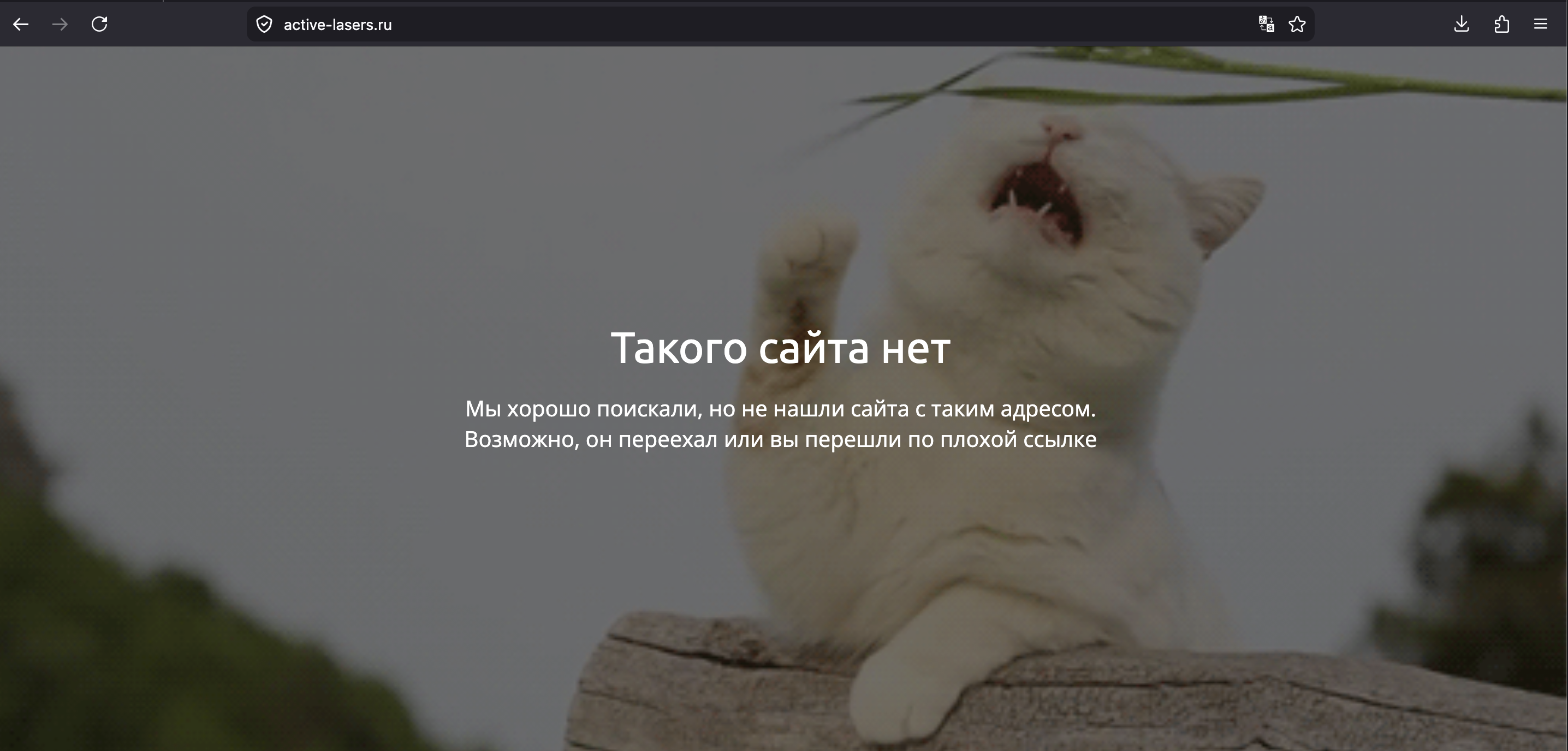 3rd party оборудование